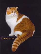 25_Catapoltz Bastian
